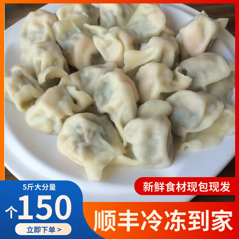 【拍一到手5斤】手工水饺猪肉牛肉韭菜鸡蛋东北茴香半成品冷冻
