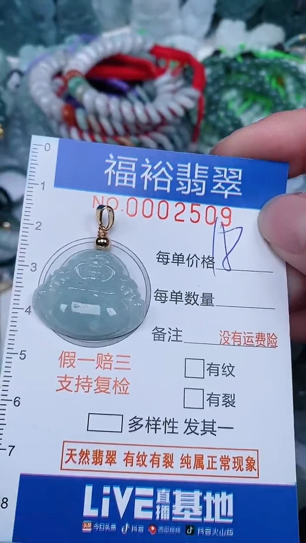 翡翠未镶嵌颈饰...0002509