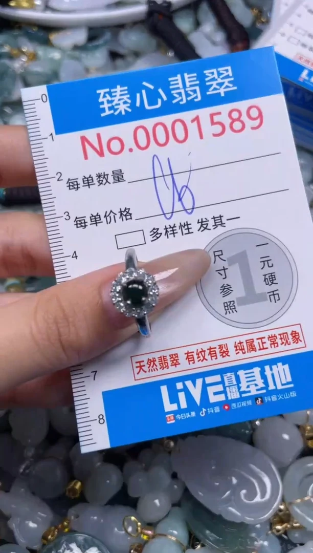 颈饰未镶嵌翡翠1589