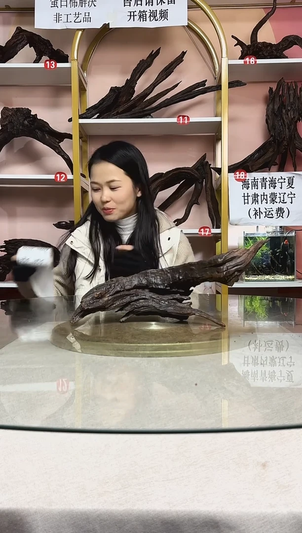 天****勤鱼缸造景沉木A037