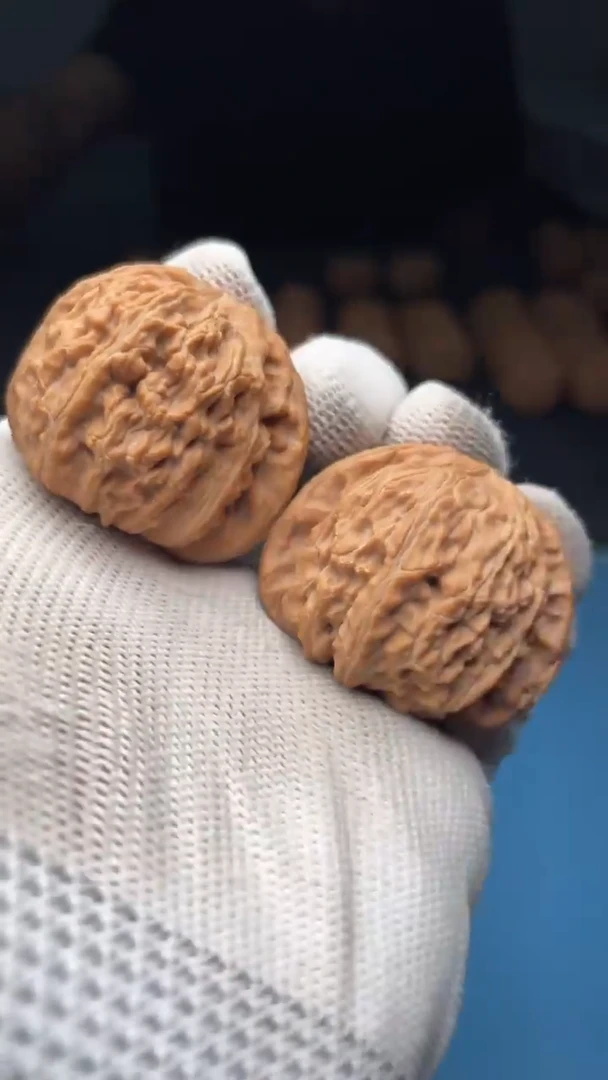 桃核把件a116  白狮子38尺