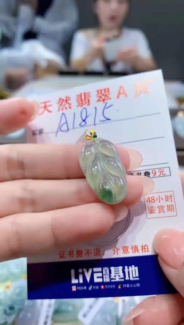 颈饰18K金镶嵌翡翠天然翡翠A货挂件