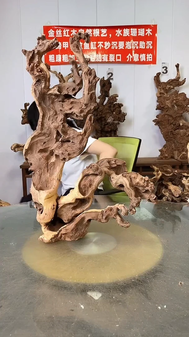 香榧木金丝红木 羊蹄甲