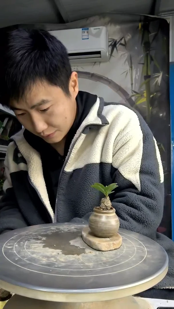 飞*中青园艺一物一拍83