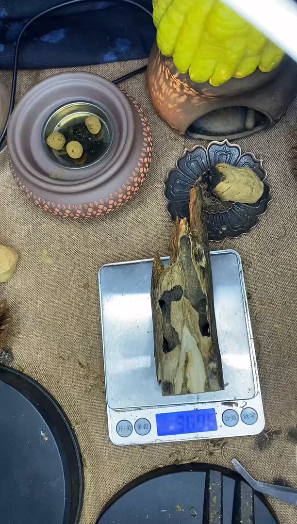 香粉沉香 沉香虫漏手把件料子37g