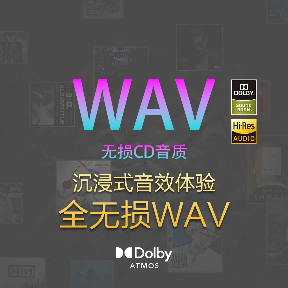 【2025全新WAV】无损黑胶CD 音质抖音热歌流行DJ经典粤语怀旧
