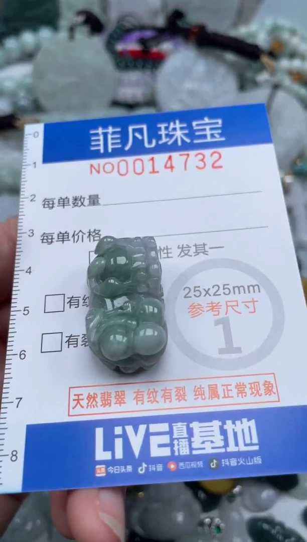 颈饰未镶嵌翡翠14732