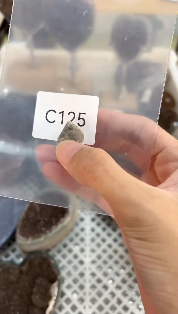未镶嵌珠宝半成品水晶C125