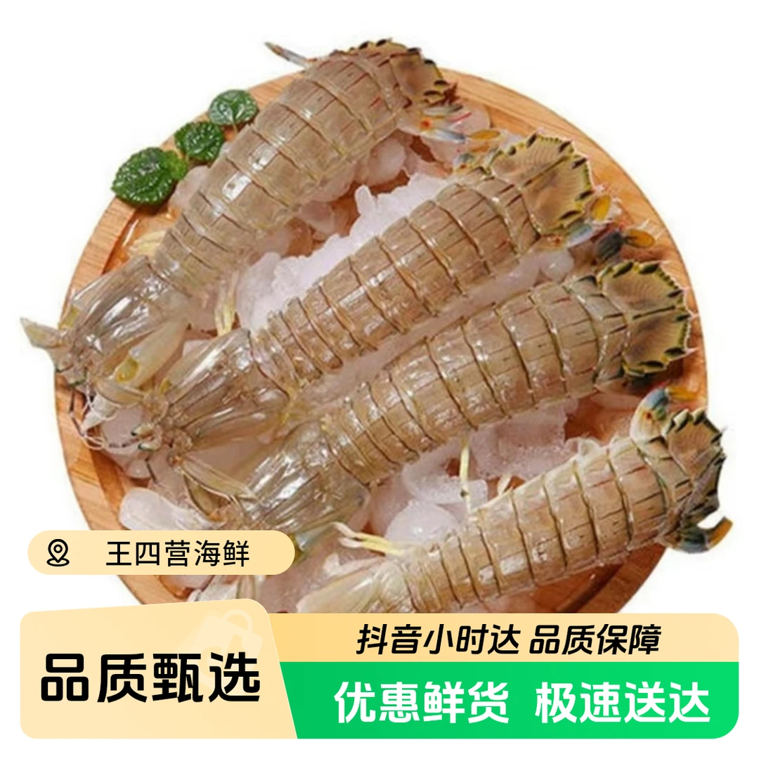 【鲜活】全母皮皮虾 有籽 多斤数大虾同城送