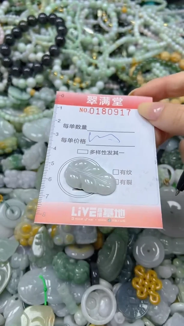 颈饰未镶嵌翡翠闪购0180917