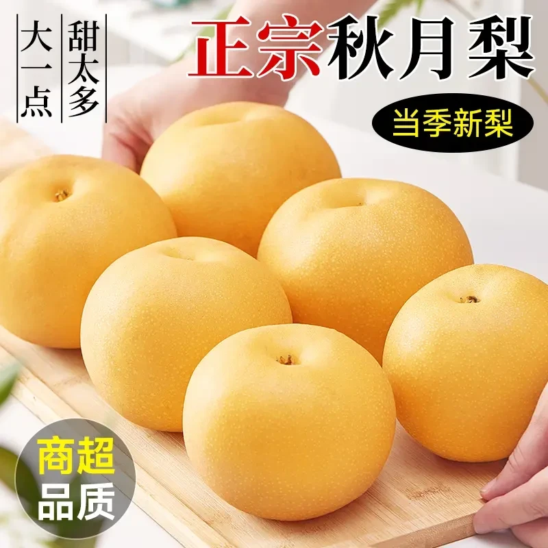 正宗山东莱阳秋月梨梨子当季新鲜水果细腻香甜多汁皮薄冰糖雪梨