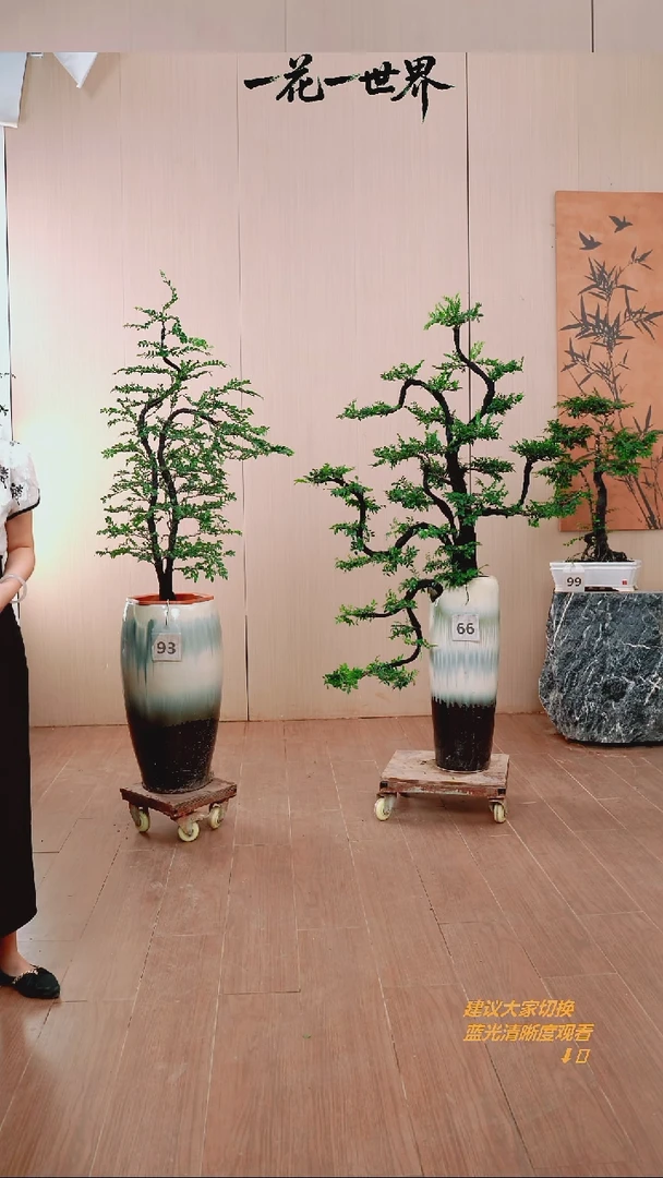 无花朵莱**业【闪购链接】93号链接