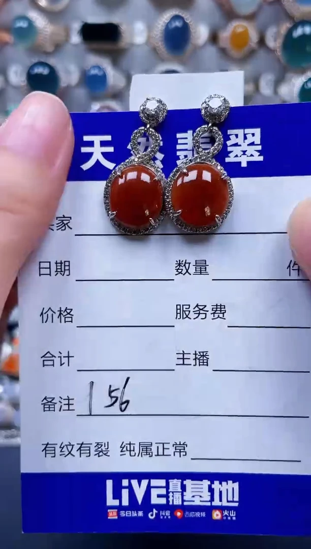 银S925镶嵌翡翠耳饰156
