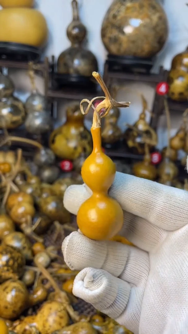 【闪购商品】葫芦葫芦葫芦葫芦