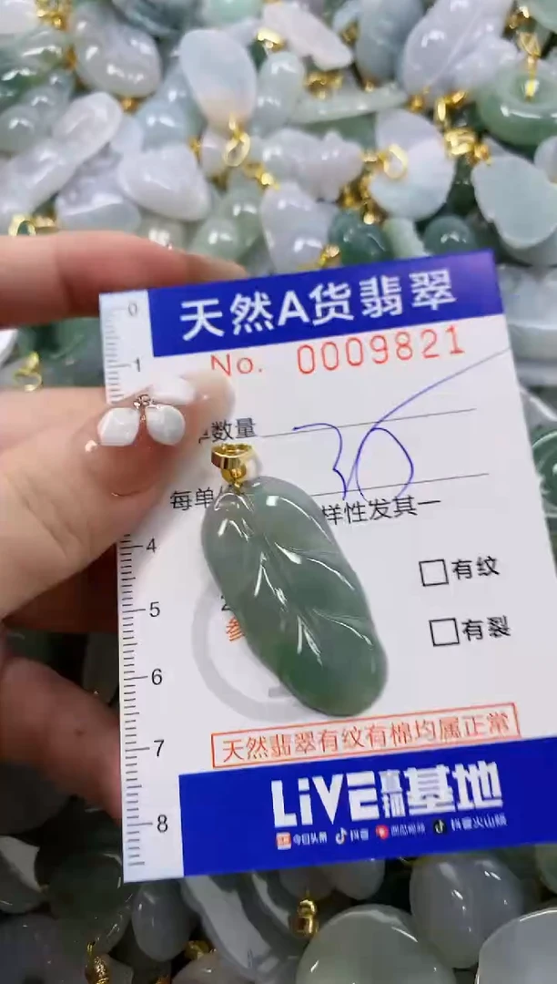 颈饰未镶嵌翡翠天然A货翡翠