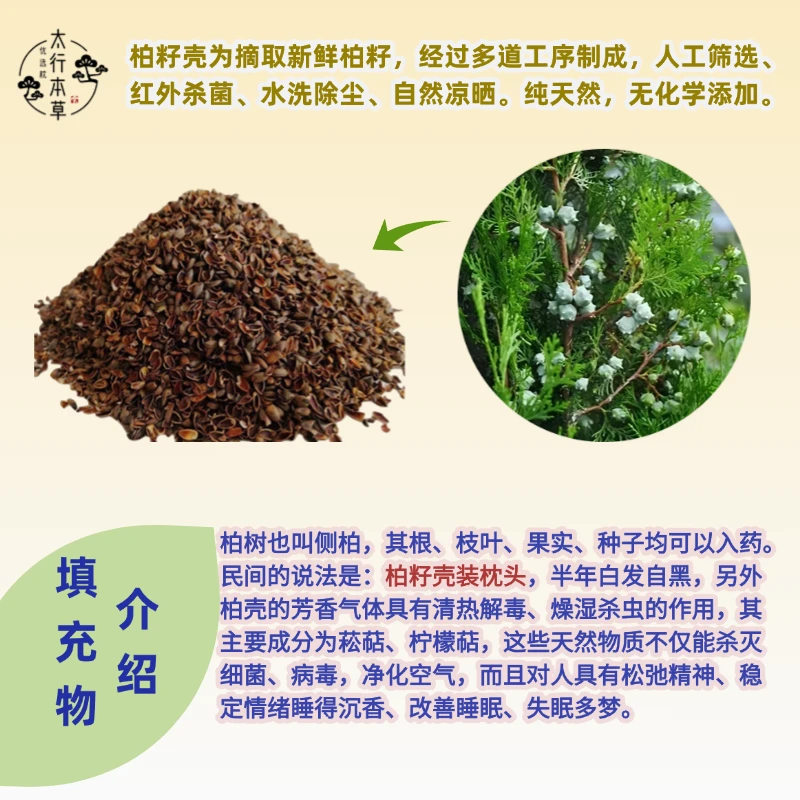 太行山源地全柏籽壳+内胆套种子侧柏籽