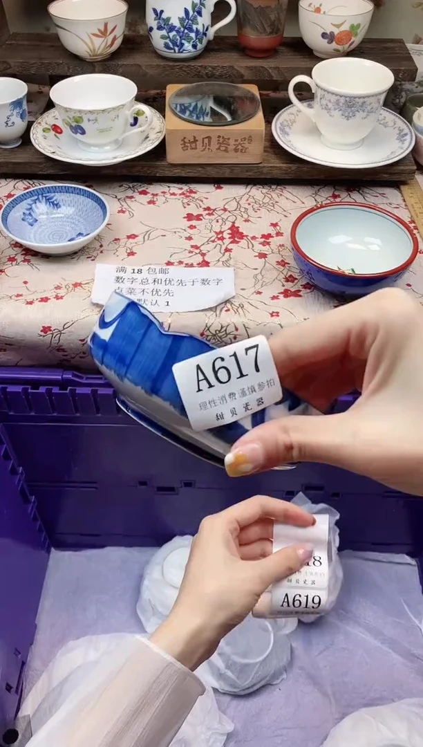 瓷片                A617