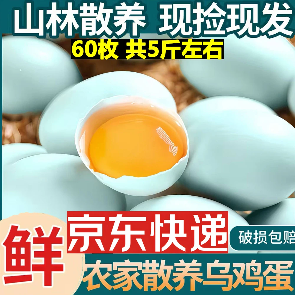 [拍30送30]60枚绿壳乌鸡蛋农家土鸡蛋 5斤左右