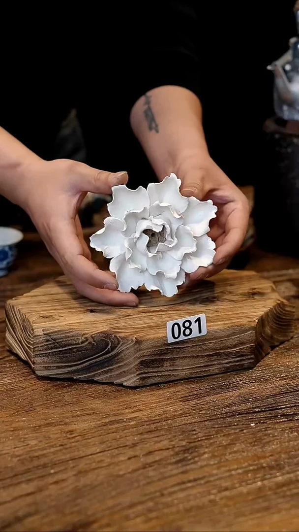 纯白莲花香插纯白莲花香插