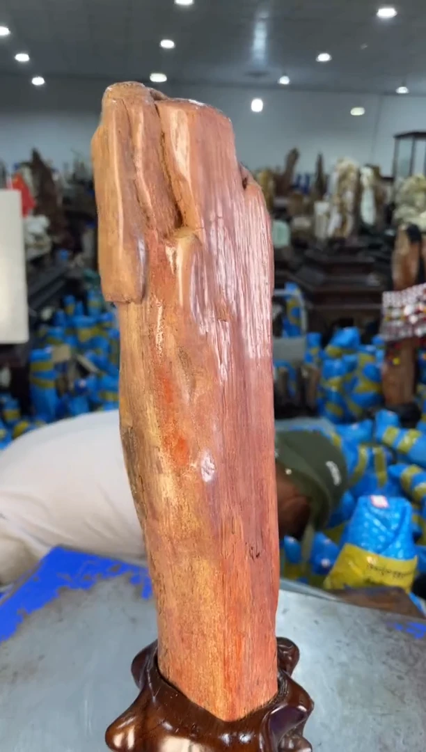 未镶嵌摆件硅化玉12