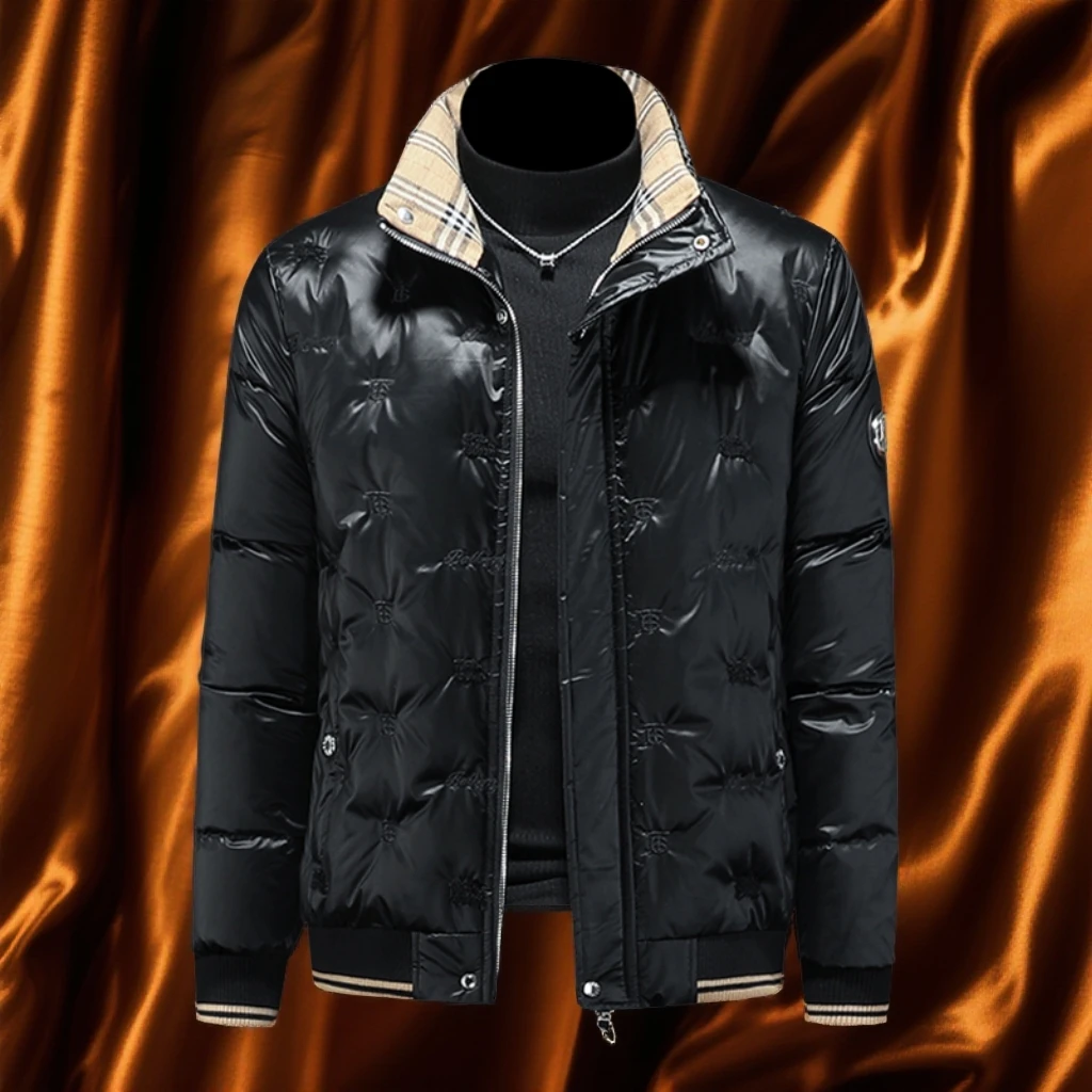 维斯克纳时尚暗花立领羽绒服男休闲冬季新款男士大码厚羽绒外套潮