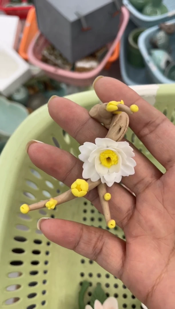 慧仙青瓷 龙泉青瓷大促