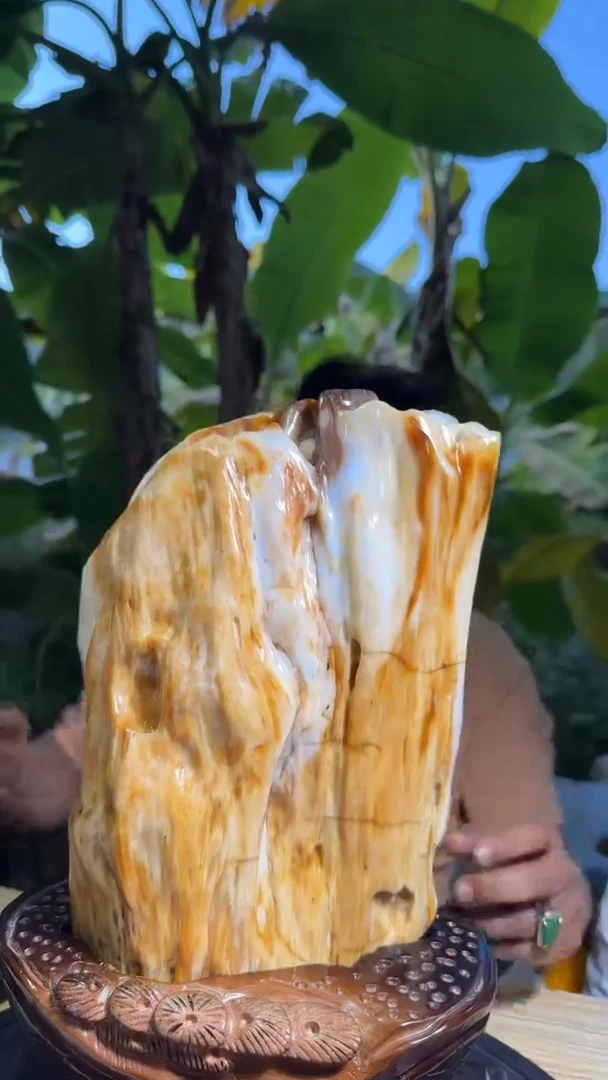 【闪购商品】硅化玉珠宝奇石未镶嵌拍一发一