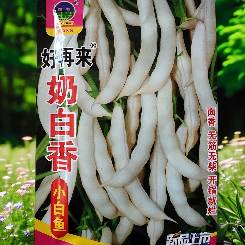 奶白香小白鱼豆角籽