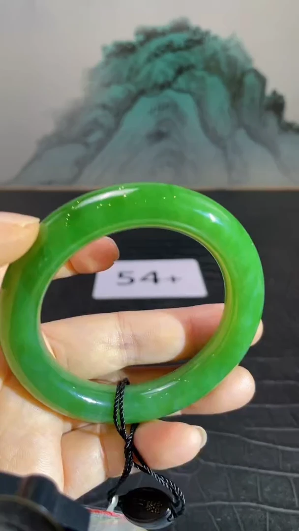 未镶嵌手镯和田玉（碧玉）懒****贵54+