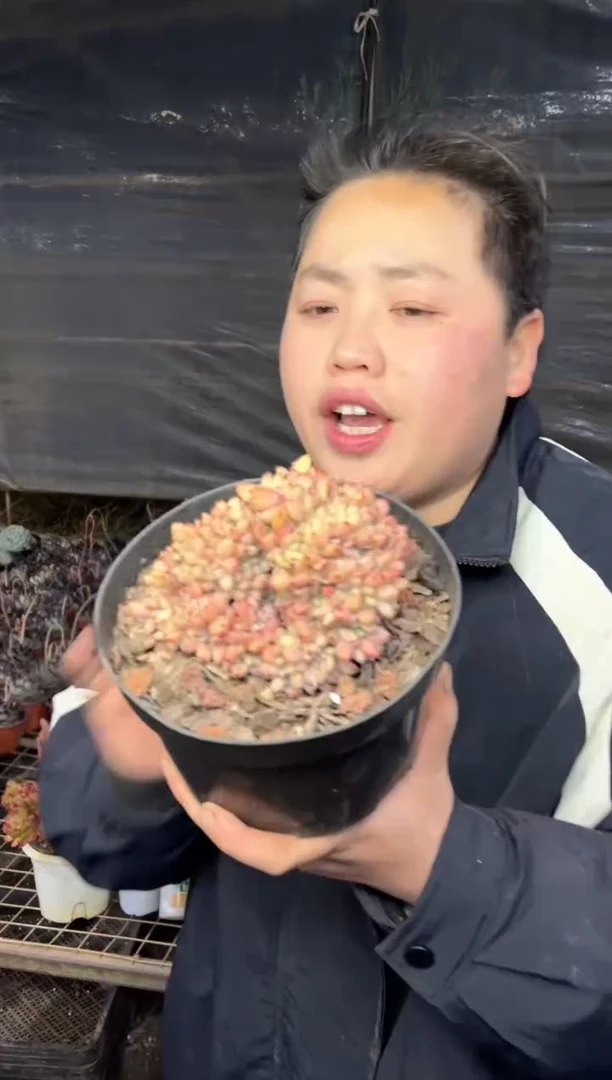 【闪购商品】32-150杯胖丁缀13.99