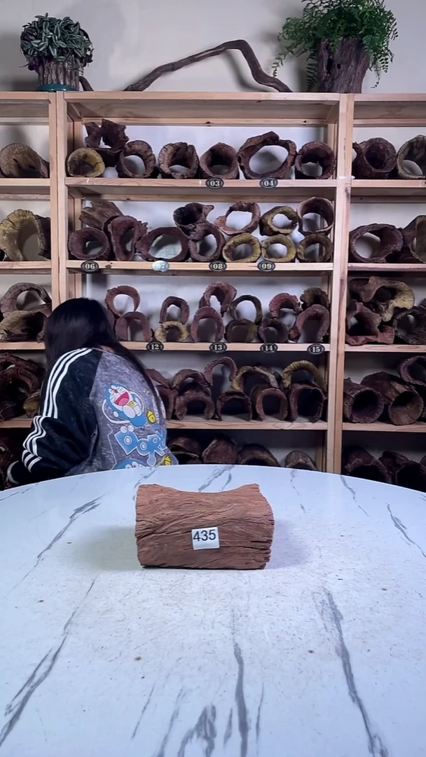 胡*树云南紫柚木造景沉木435