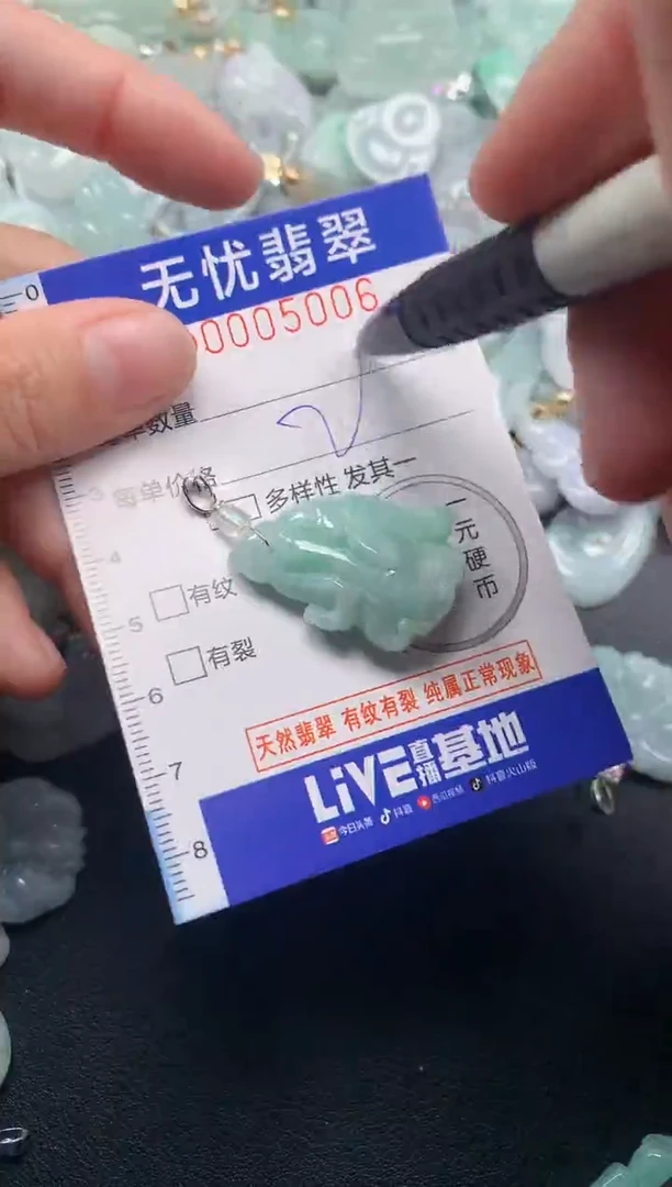 颈饰未镶嵌翡翠5006