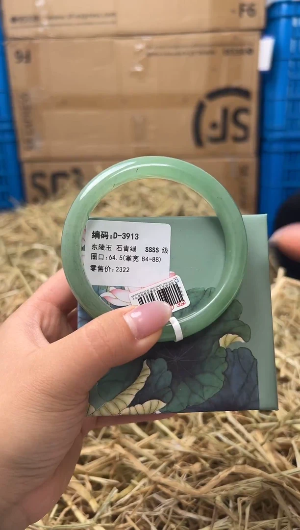 未镶嵌手镯石英质玉D-3913