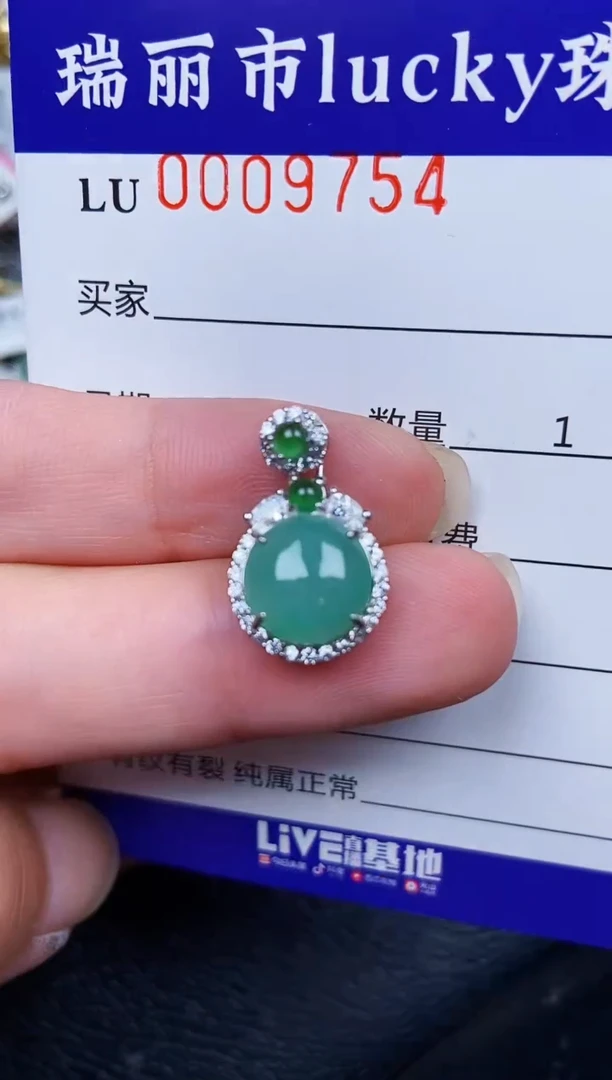 翡翠银S925镶嵌颈饰9754
