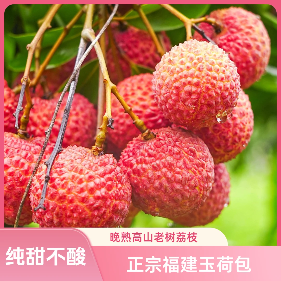 【柒柒专属+顺丰冷链】福建正宗玉荷包荔枝当日采晚熟高山老树荔枝