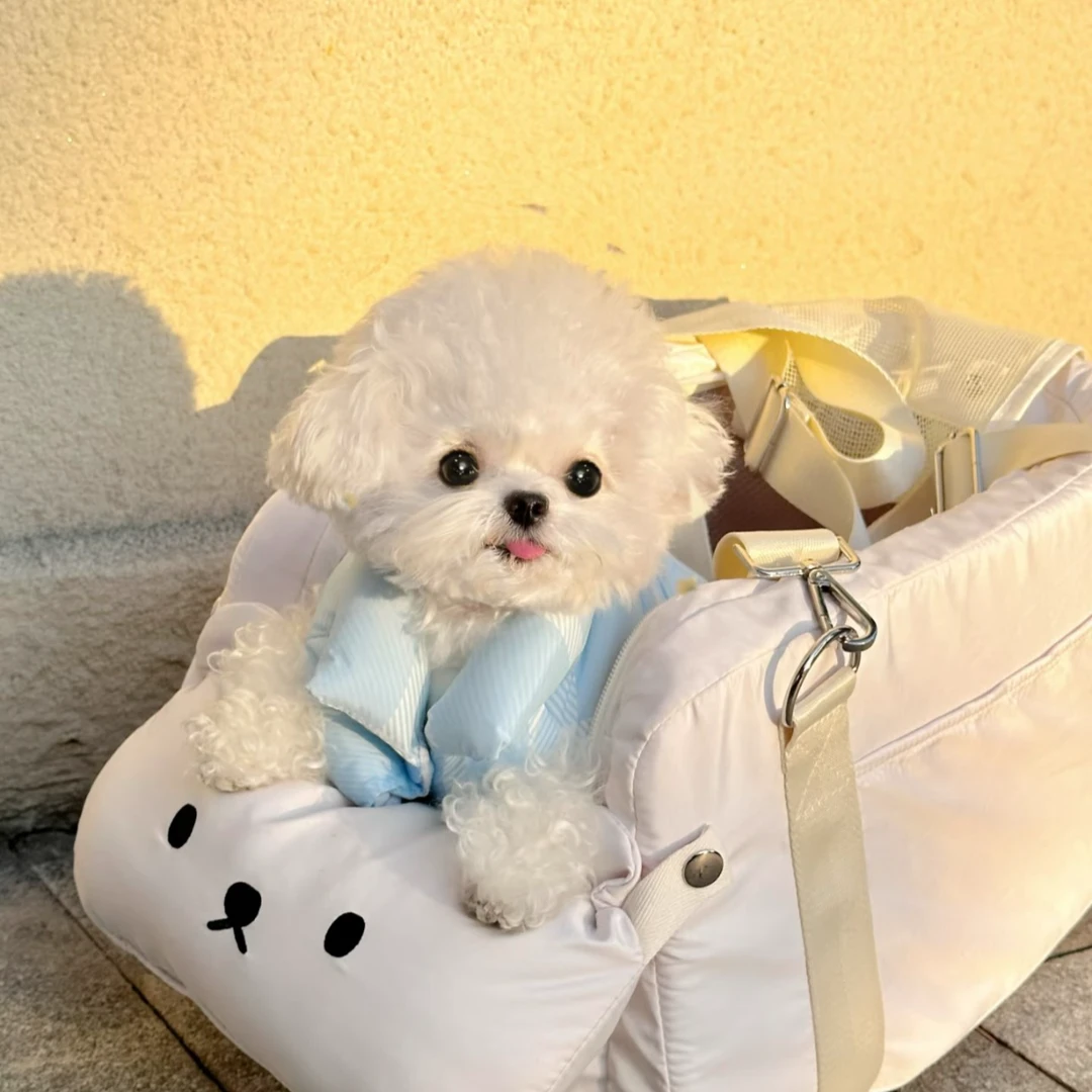 A遇它从这里开始