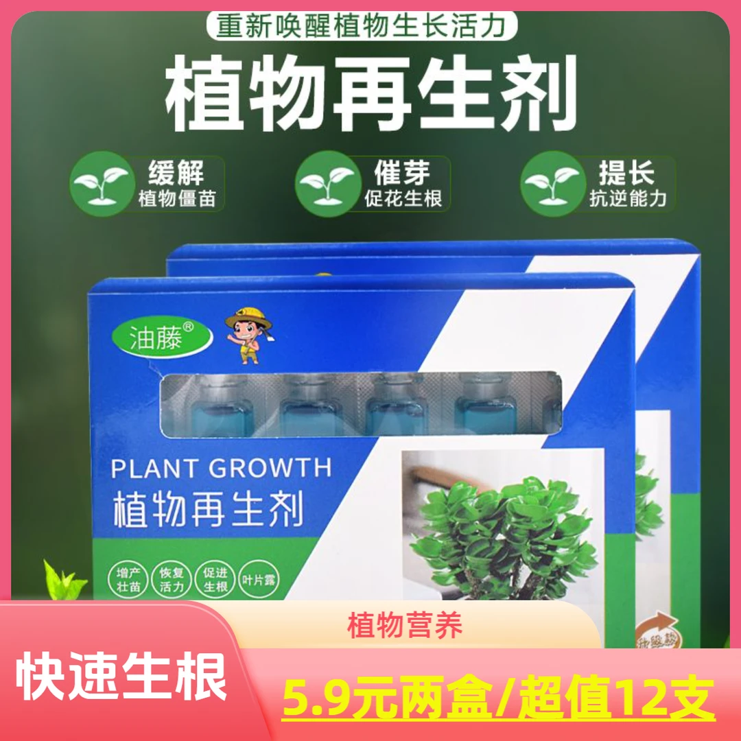 【两盒装/12支】植物再生剂绿植盆栽通用型植绿植花卉盆栽营养液