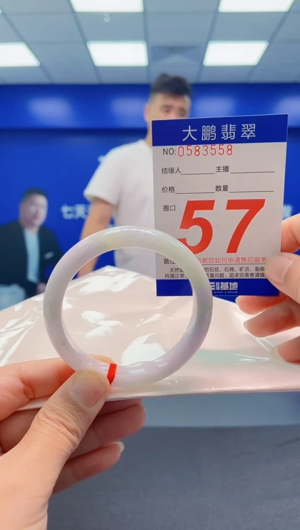 未镶嵌手镯翡翠AAAAAAAAA