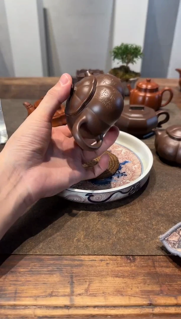 茶壶紫砂刘*阳大鱼海棠