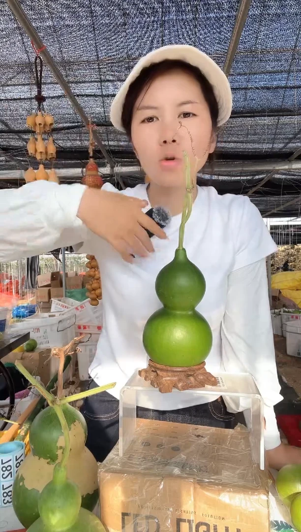 773天然葫芦摆件 一物一拍龙头不保售后