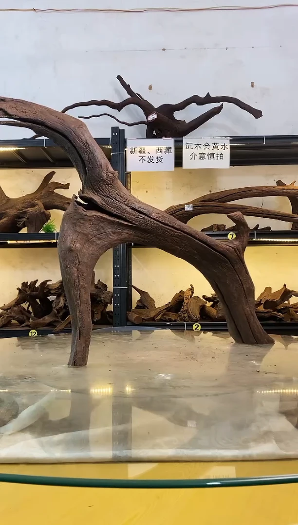 【闪购商品】柚木木艺110鱼缸造景沉木