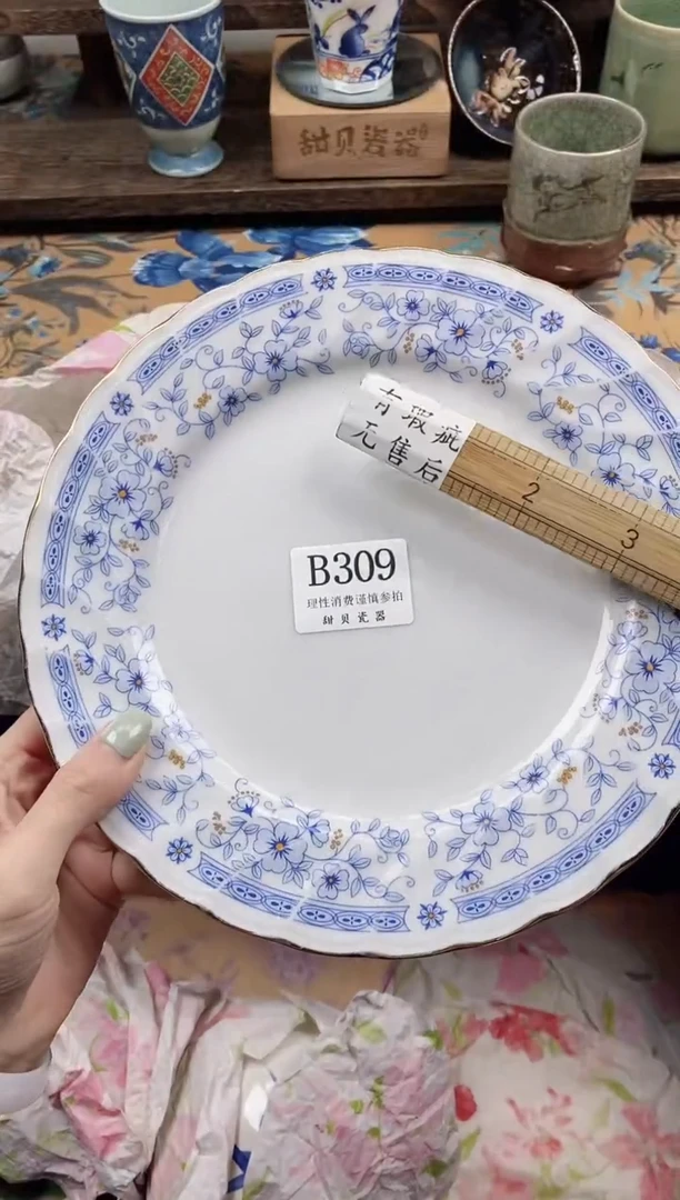 瓷片嫣**^                B309