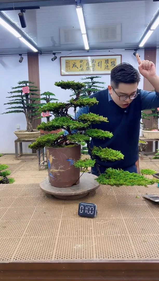 无花朵000000000000