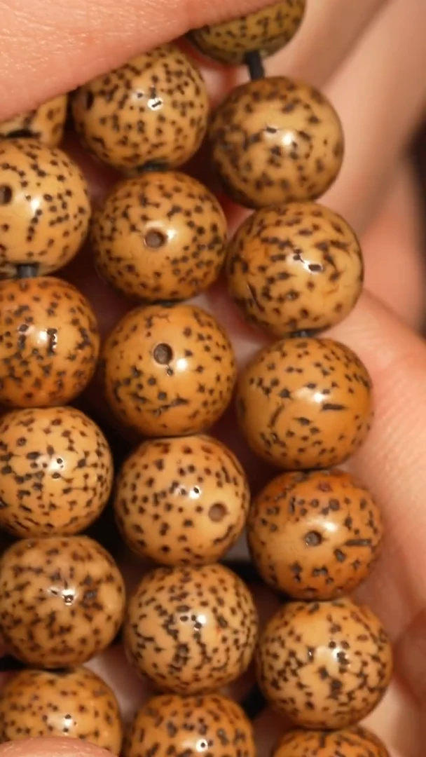 冲赛康胡子哥，藏传念珠280