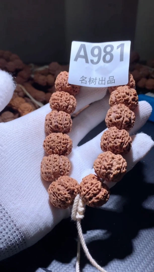 金刚菩提手串A981