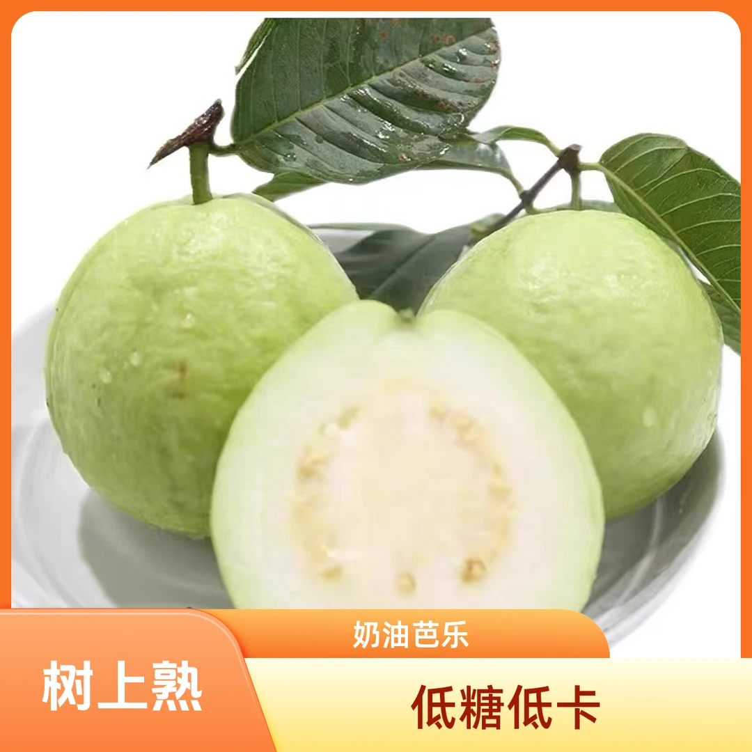 新到树上熟奶油芭乐 冰淇淋口感 甜蜜不升糖 毛重3斤 一箱5-6颗 【顺丰包邮】新鲜