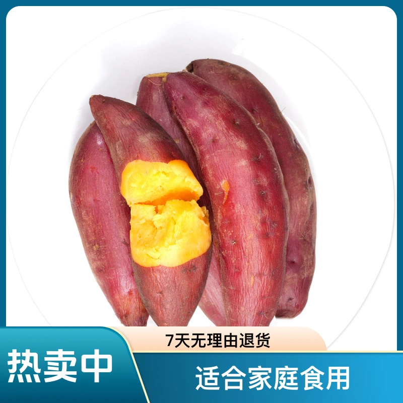 小香薯中果农家自种板栗红薯新鲜番薯地瓜蜜薯代餐粗粮