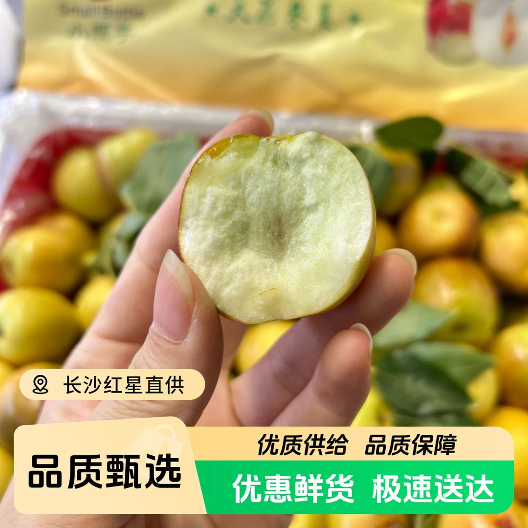 【红星甄选】陕西大荔冬枣3斤装【次日达】陕西省陕西省