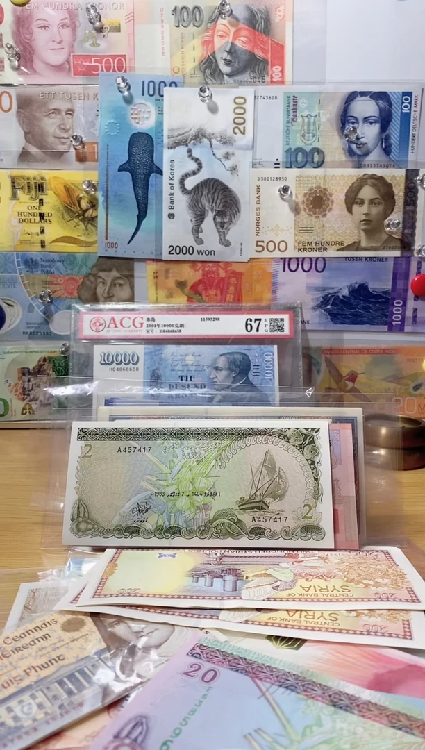 纸币空****Y马尔代夫20拉菲亚一张