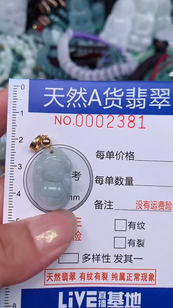 翡翠未镶嵌颈饰...0002381